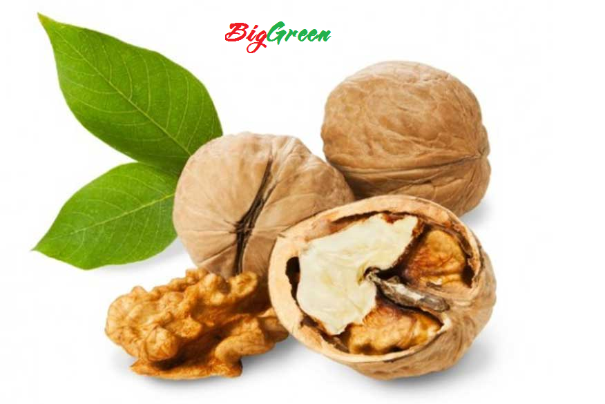 Qủa Óc Chó - Mỹ