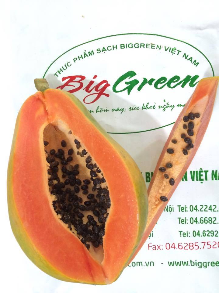 Đu đủ giống Nhật Bản