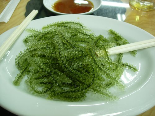 Rong nho tươi Nha Trang