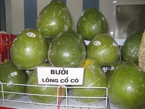 Bưởi lông cổ cò
