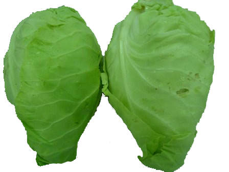 Bắp cải trái tim