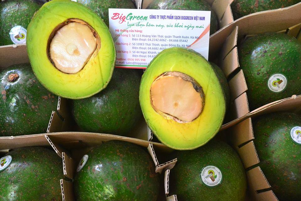 Bơ Booth Đắk Lắk