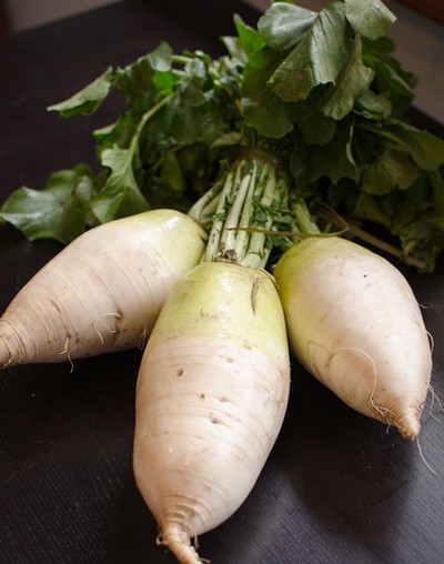 Củ cải Hàn Quốc