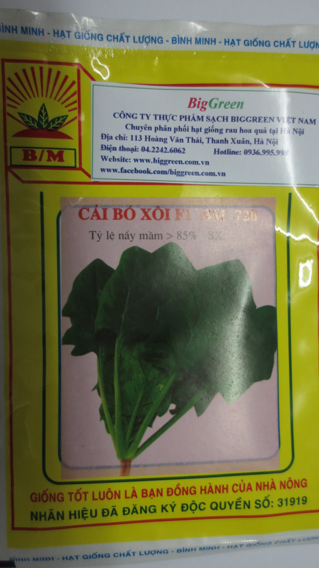 Hạt giống rau cải bó xôi