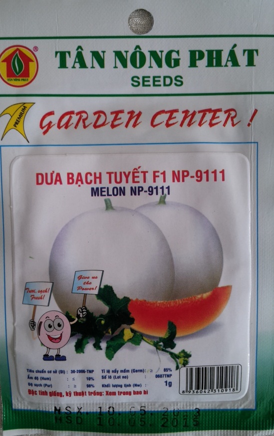 Hạt giống dưa Bạch Tuyết