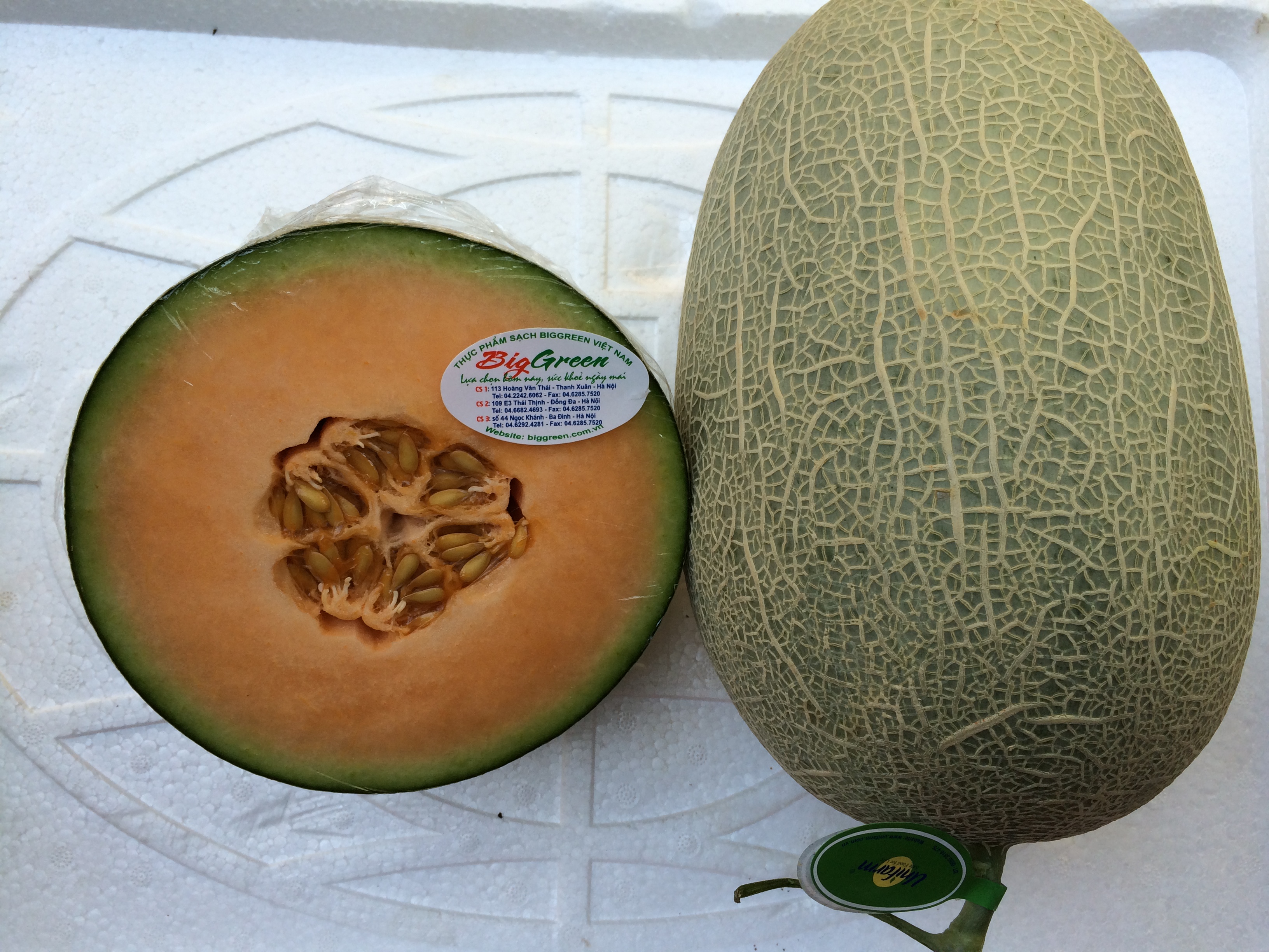 Dưa lưới dài ruột vàng tiêu chuẩn VietGAP