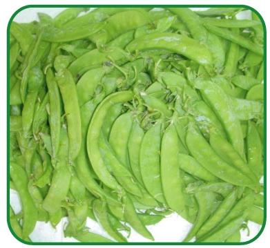 Đậu Hà Lan ăn quả