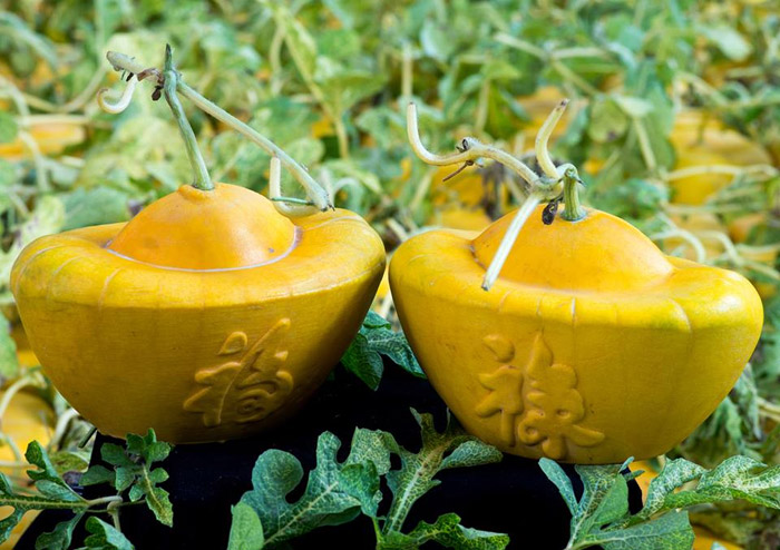 Dưa hấu thỏi vàng
