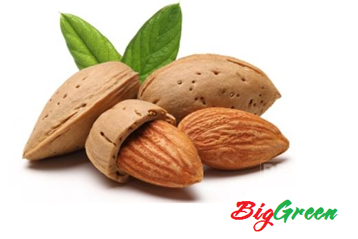 Hạt Hạnh Nhân - Mỹ