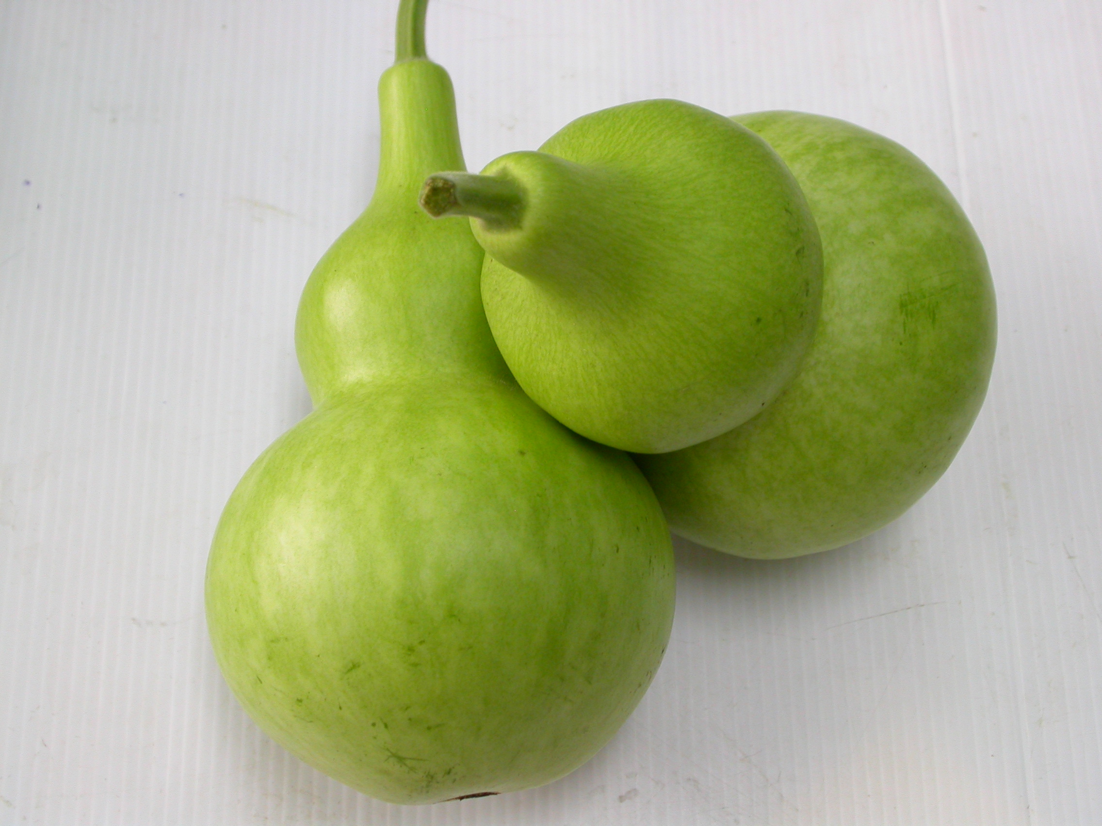 Hạt giống Bầu Hồ Lô