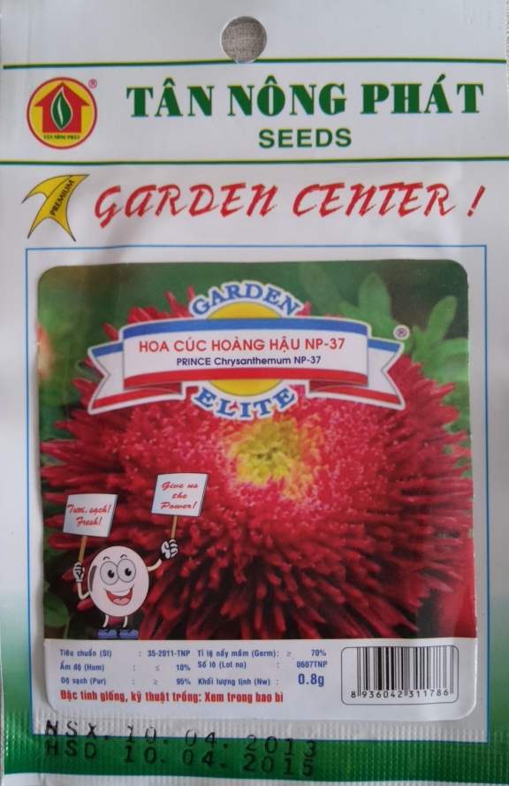 Hạt giống hoa cúc hoàng hậu