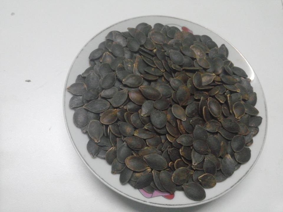 Hạt bí Mèo đen