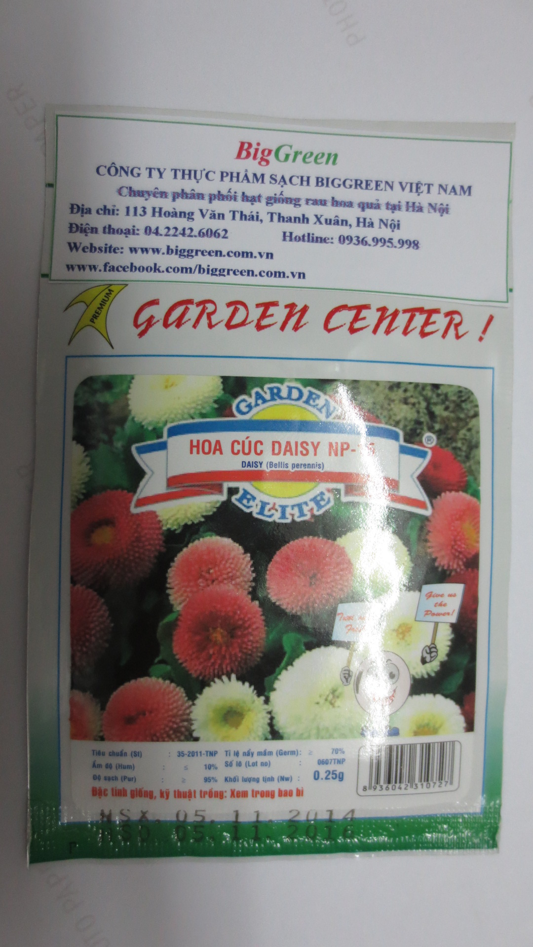 Hạt giống hoa Cúc Daisy