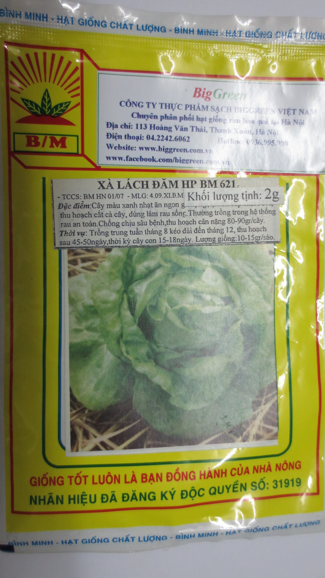 Hạt giống rau xà lách