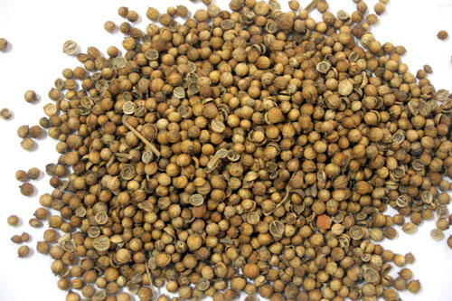 Hạt mùi quê tắm sởi