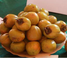 Hồng không hạt Bảo Lâm