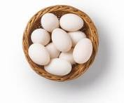 Trứng gà con so Trang trại Biggreen