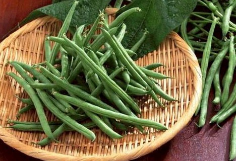 Đậu trạch Mộc Châu