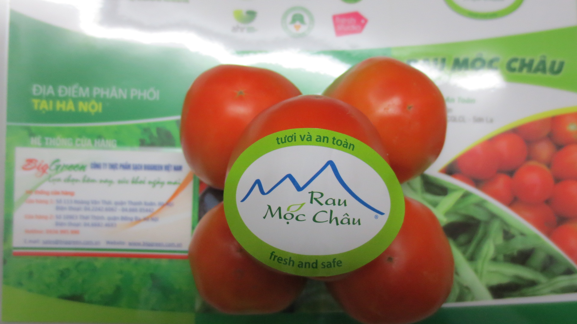 Cà chua Mộc Châu