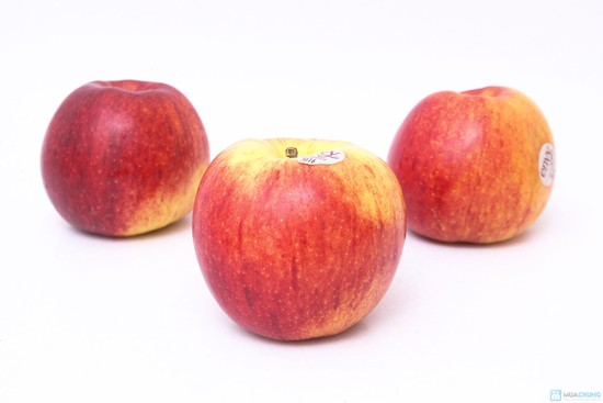 Táo ENVY New Zealand size to