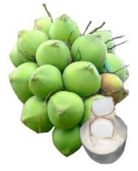 Dừa Dứa (Dừa thơm)