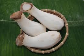 Nấm đùi gà - Nấm Việt