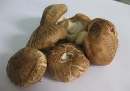 Nấm Hương tươi - Nấm Biovegi