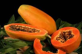 Đu đủ ruột đỏ Bến Tre