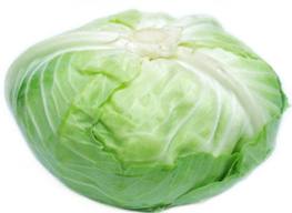 Bắp cải trắng Mộc Châu