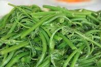 Ngọn su su VietGAP nhặt