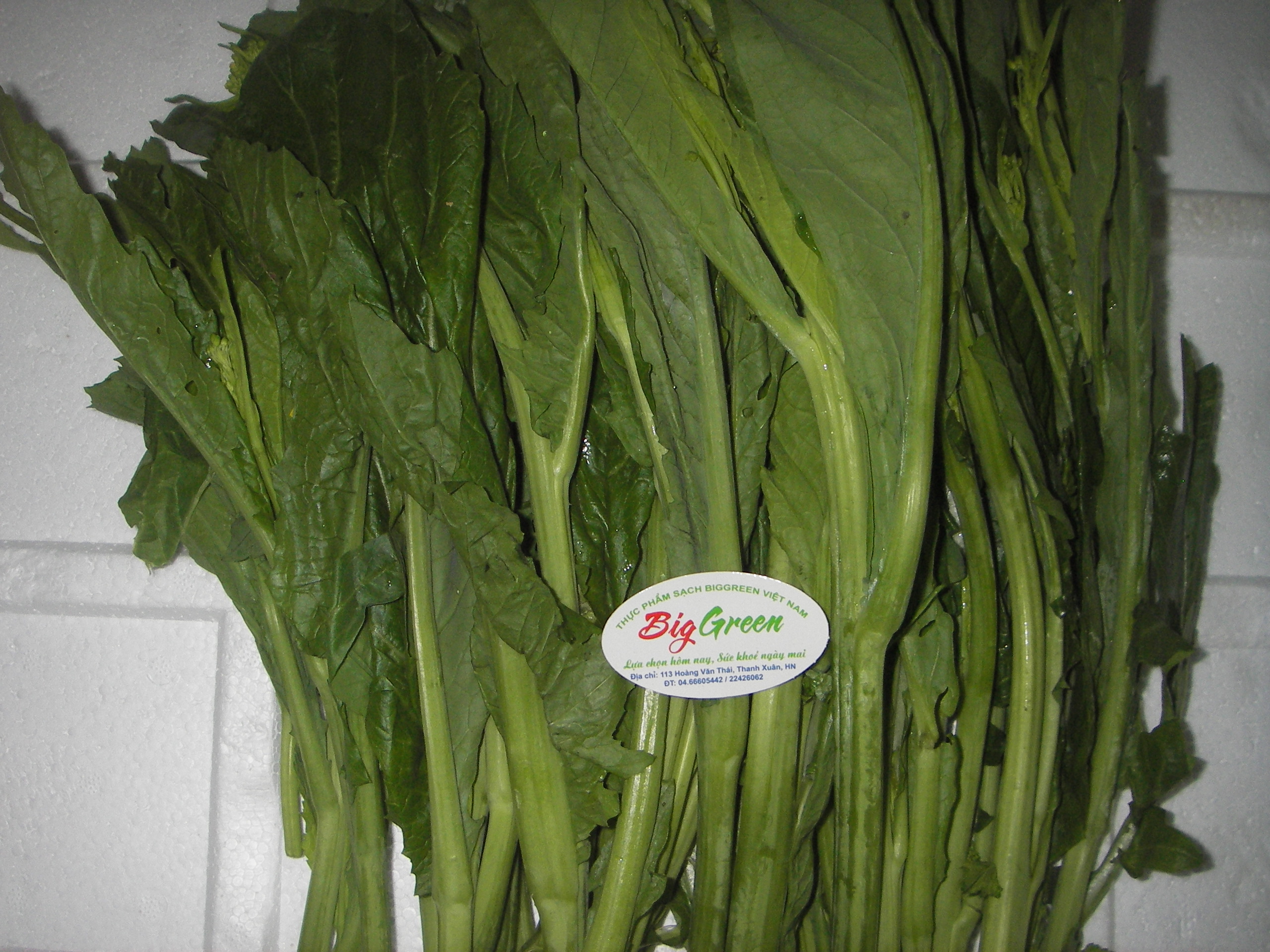 Ngồng cải Mèo Bắc Hà