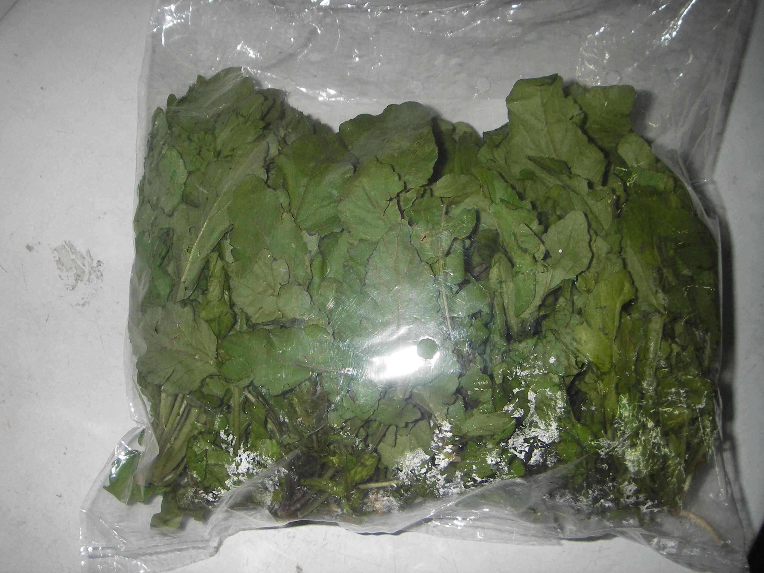 Rau Cải Đồng - Bắc Hà