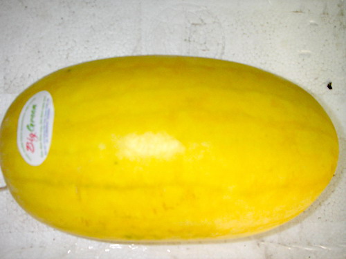 Dưa hấu vỏ vàng