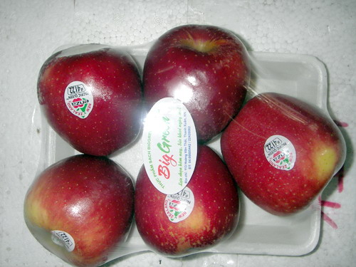 Táo Queen Newzealand