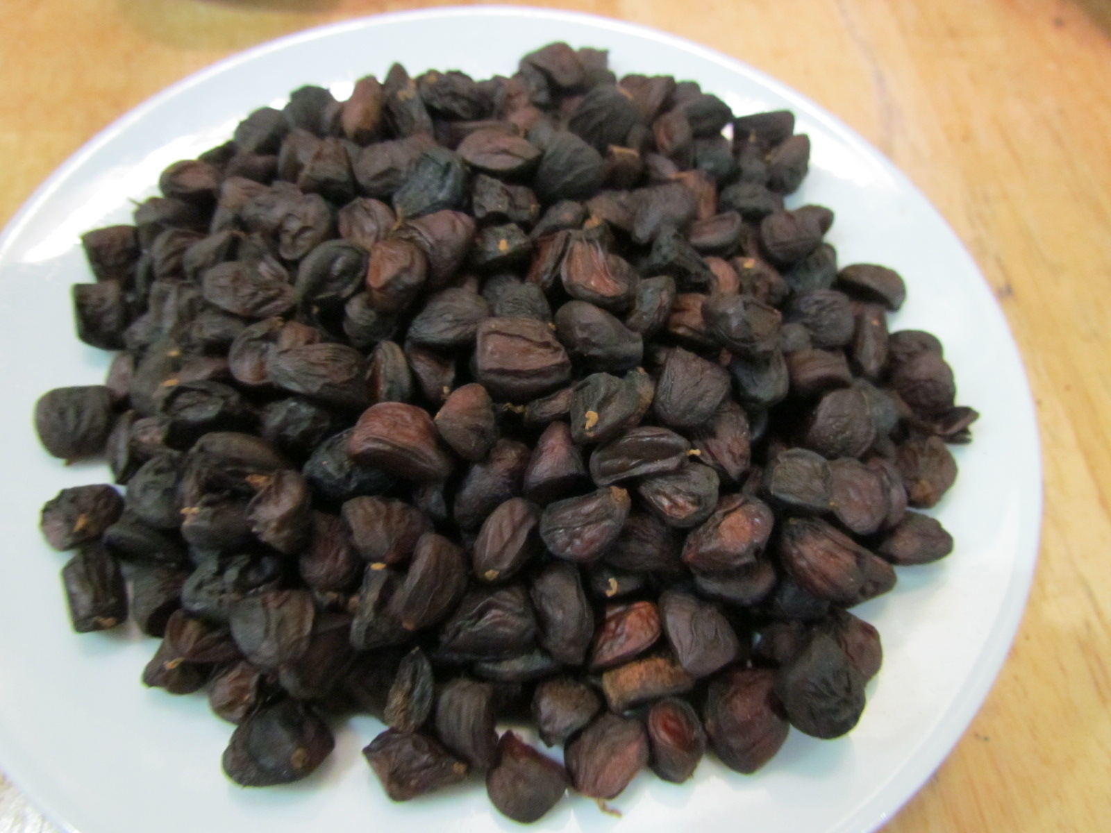 Hạt dổi - Bắc Hà