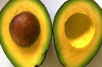 Bơ sáp Đắk Lắk