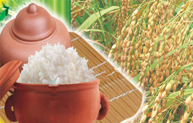 Gạo nếp cái Hoa vàng - Bắc Ninh