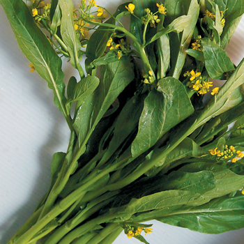 Cải ngồng hoa vàng Bắc Hà