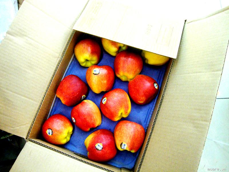 Táo Ambrosia size bé