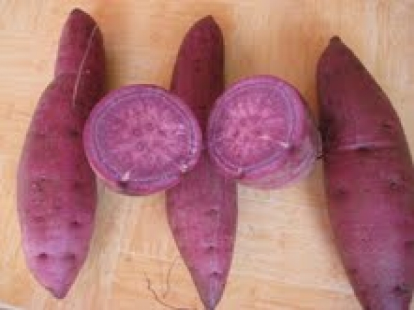 Khoai Lang nhật tím