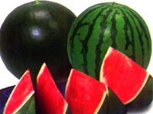 Dưa hấu không hạt Long An