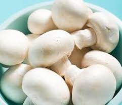 Nấm mỡ - Nấm Việt