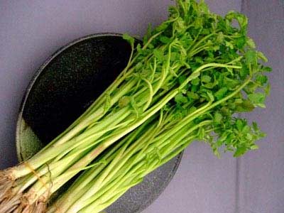 Rau cần Mộc Châu