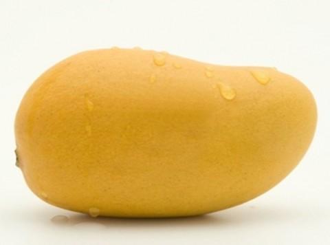 Xoài Tứ Qúy loại đặc biệt