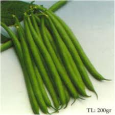 Đậu Cô Ve  Nhật