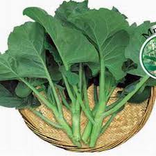 Cải Làn Bắc Hà