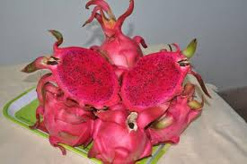 Thanh long ruột đỏ Tây Ninh