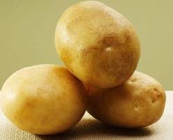 Khoai Tây ta Mộc Châu