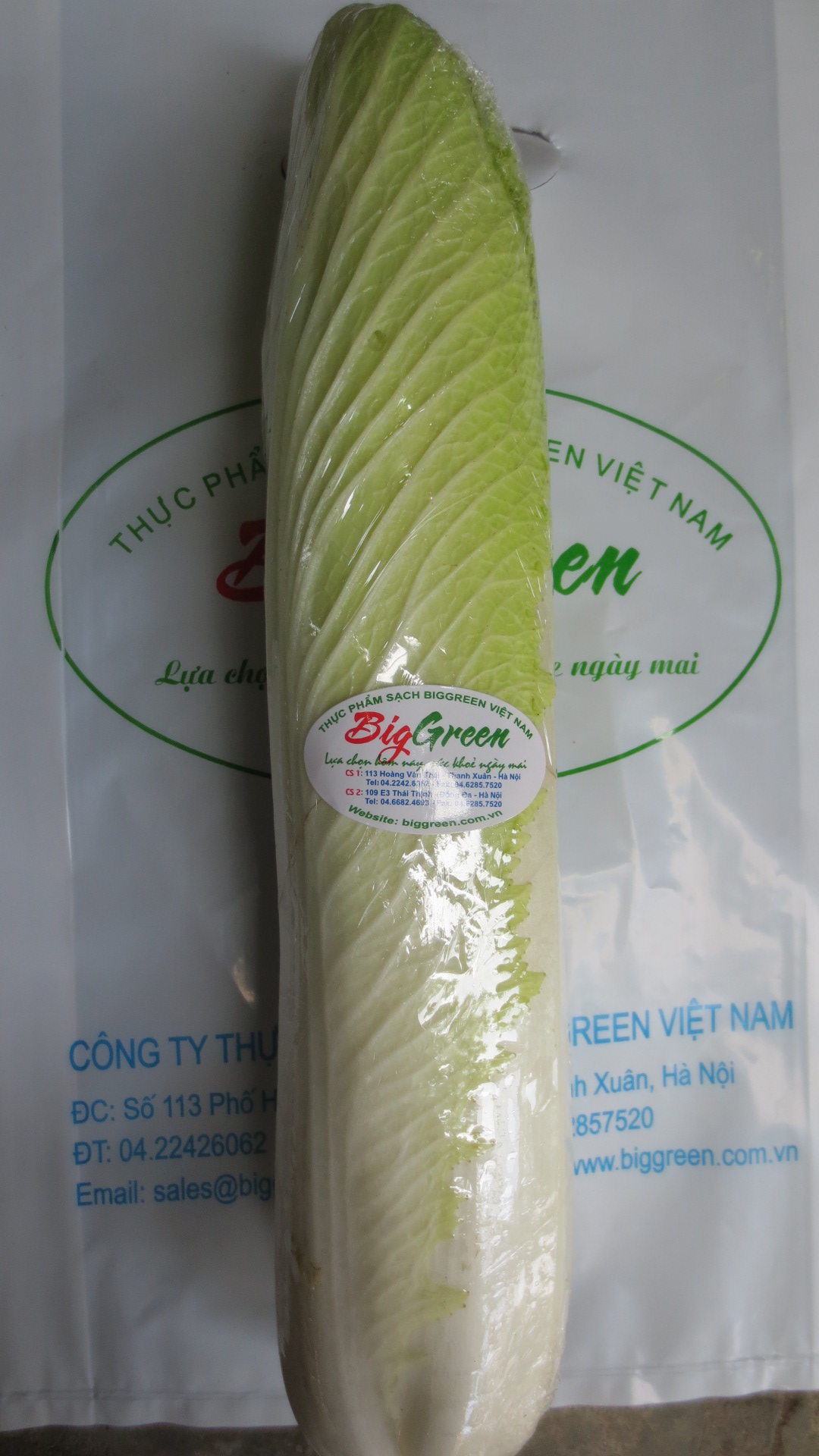 Rau cải thảo Hoa Tiên Đà Lạt