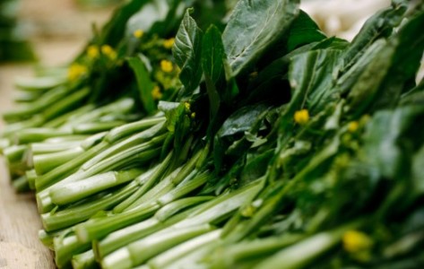 Cải Ngồng Mộc Châu